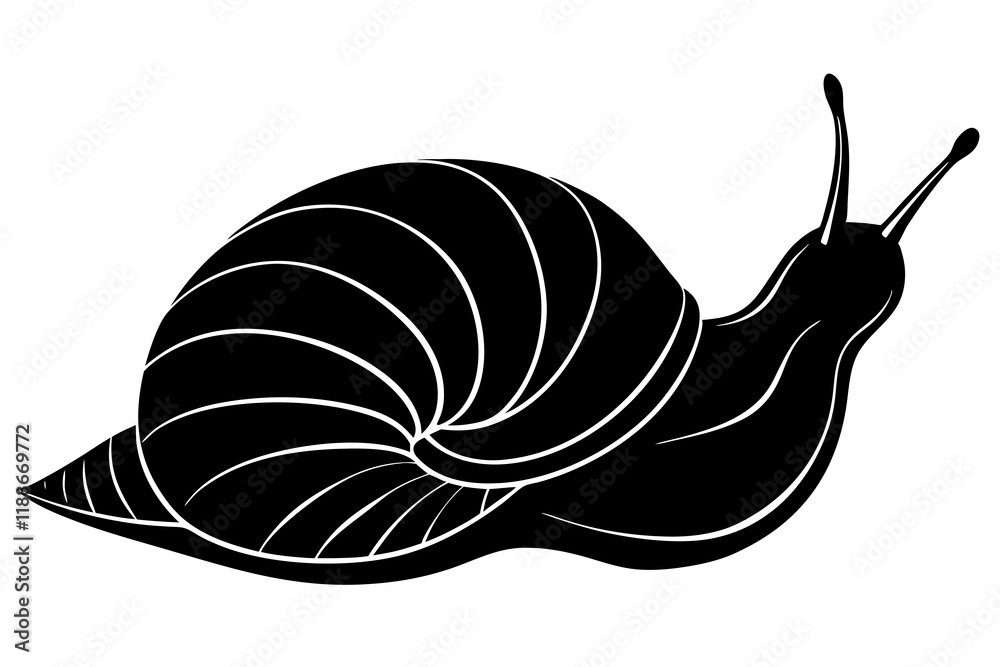 snail silhouette vector, Sea snail vector illustration 