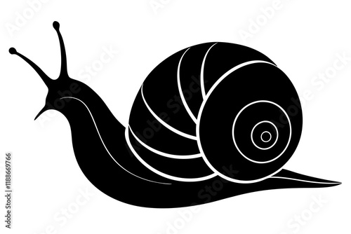 snail silhouette vector, Sea snail vector illustration 