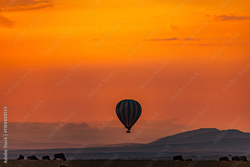 Obraz premium hot air balloon at sunset