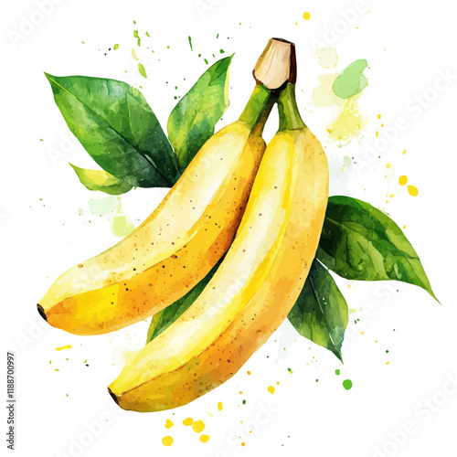 A watercolor vector painting of a banana, isolated on a white background. Banana vector.

