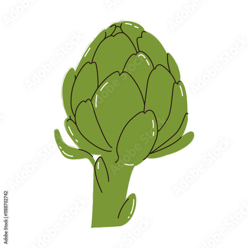 Artichoke. Edible plant - artichoke. Healthy eating, organic gardening French artichoke, green artichoke, and globe artichoke. Botanical picture. Modern poster with hand drawn design for wall decor