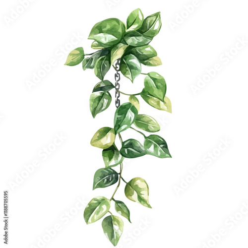 A watercolor vector painting of a Watch Chain Plant, isolated on a white background. Watch Chain Plant vector.

