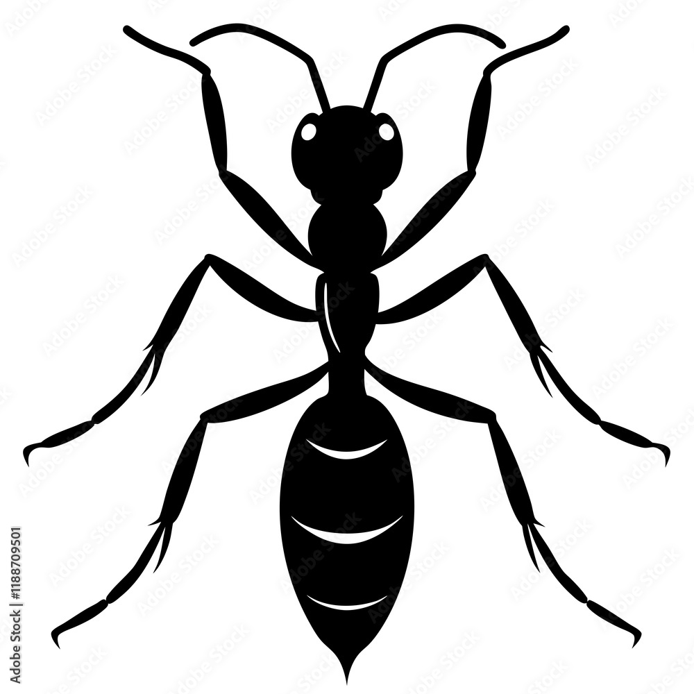 Army Ant silhouette vector illustration Army Ant silhouette vector illustration