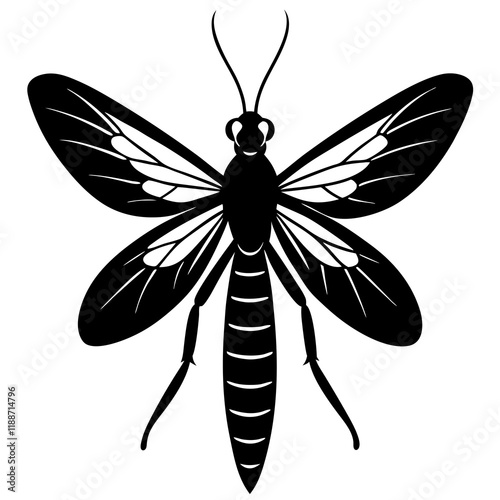 Mayfly silhouette vector illustration 
