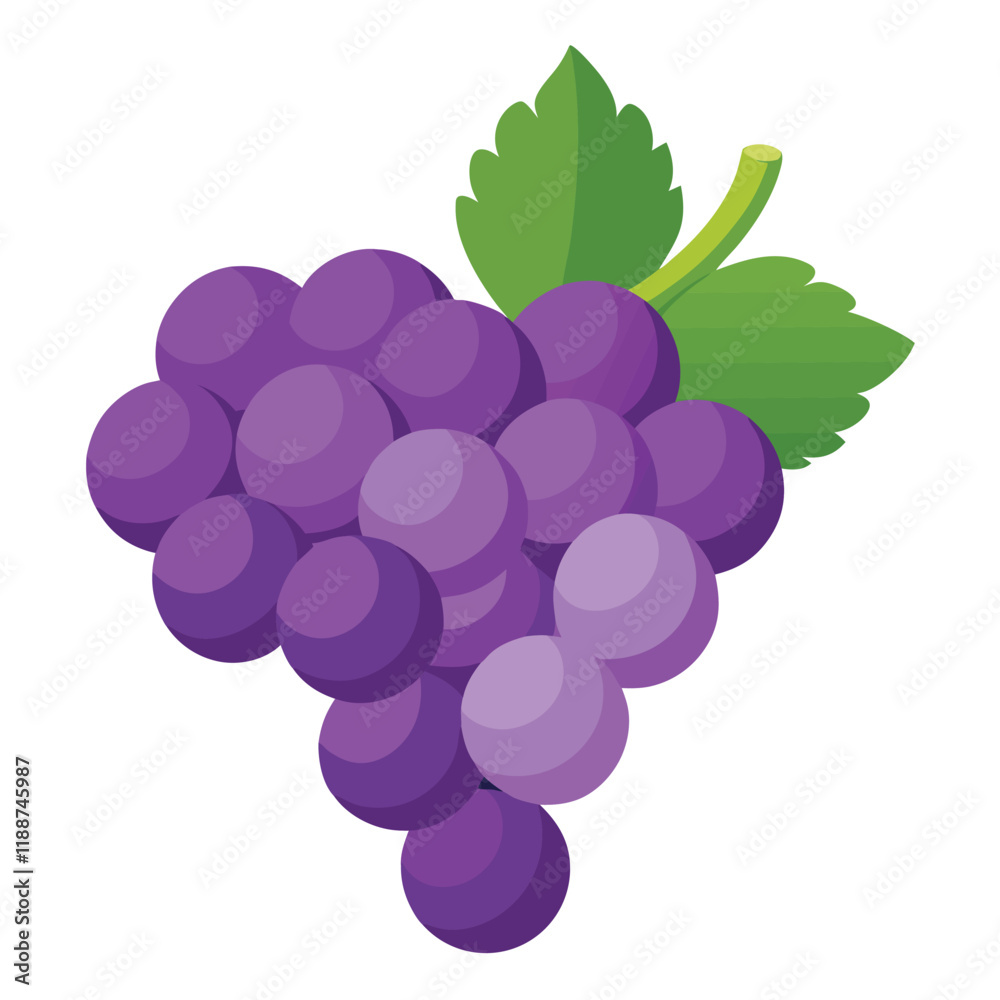 bunch of grapes isolated on white background bunch of grapes isolated on white background