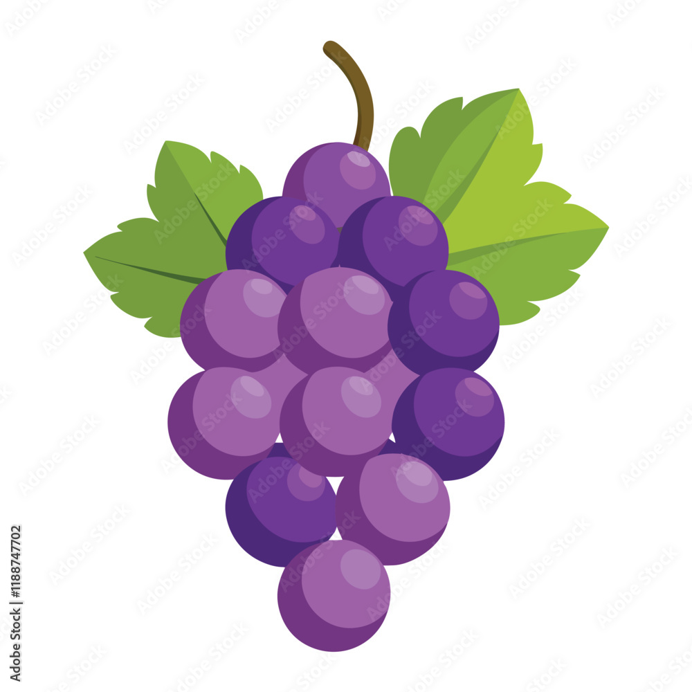 bunch of grapes isolated on white background