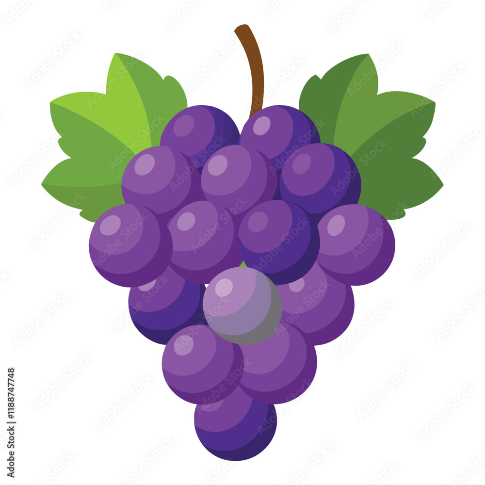 bunch of grapes isolated on white background bunch of grapes isolated on white background
