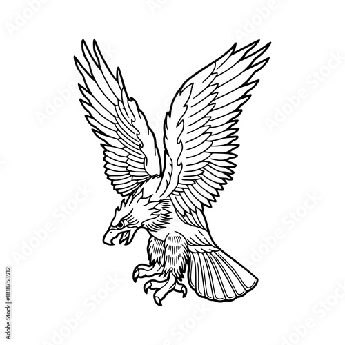 a detailed line art drawing of a eagle illustration