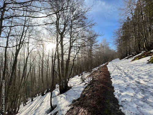 Early spring atmosphere and the last remnants of snow on the mountain road - Northern Velebit National Park, Croatia (Posljednji ostaci snijega na planinskoj cesti - NP Sjeverni Velebit, Hrvatska) photo