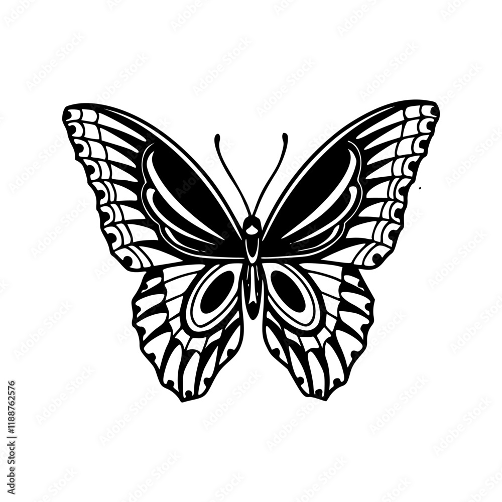 a detailed line art drawing of a butterfly illustration a detailed line art drawing of a butterfly illustration