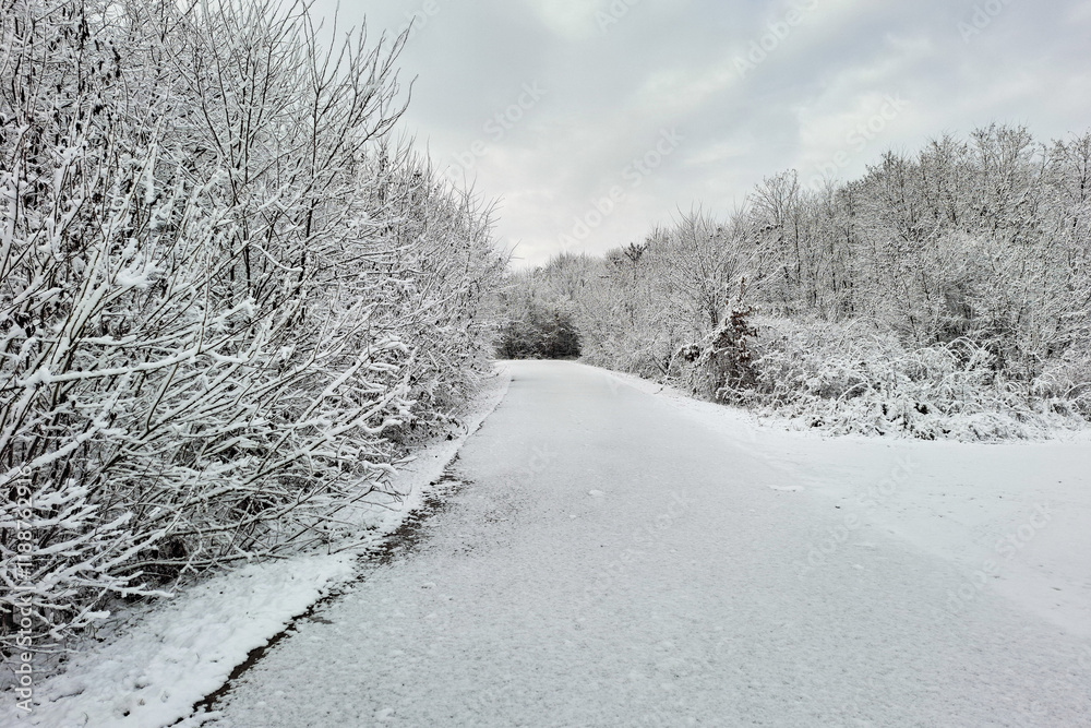 Obraz premium Winter landscape in Maramures, Romania