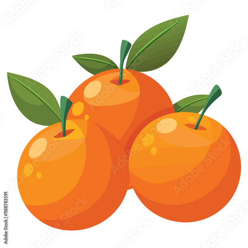 illustration of ripe apricots