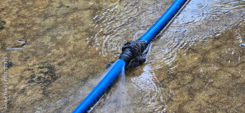 A blue hose with black Scotch tape tied around it because it had leak. The hose is used for watering plants in the garden. Water is flowing out. Causing flooded. Large leak causing water to gush out
