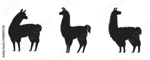 Set of three llama silhouettes in standing poses, showcasing their woolly texture and upright ears on a plain gray background
