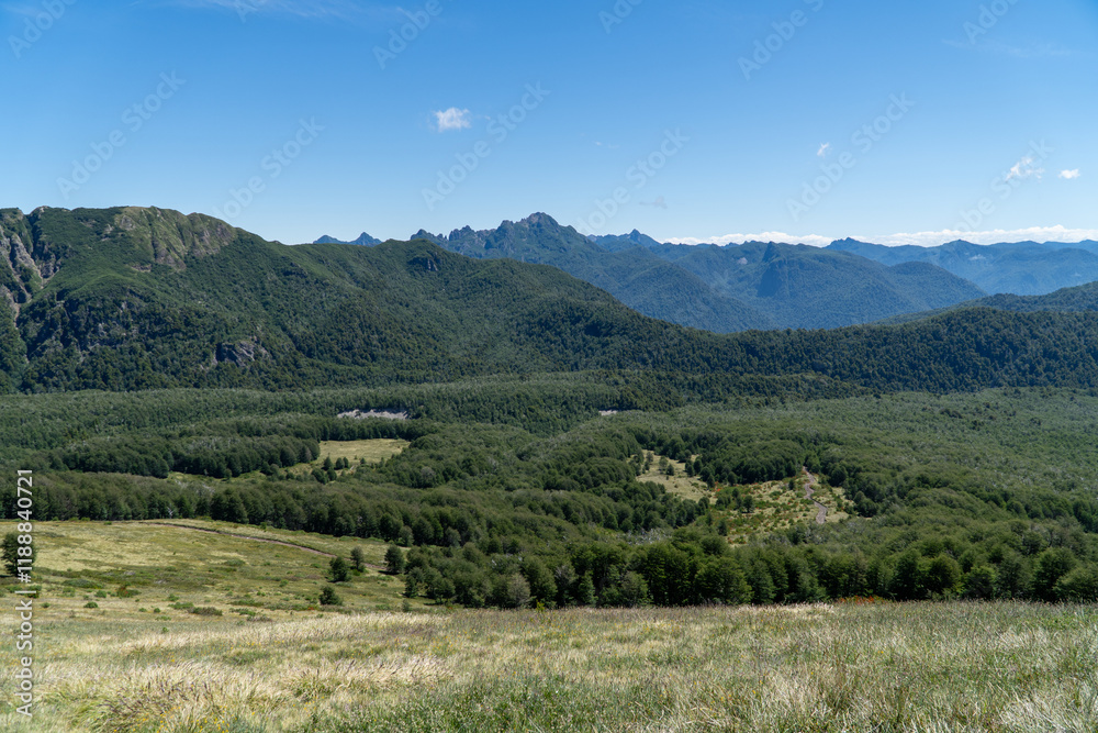 A view of a forest with trees and an open meadow, representing the contrast and impact of deforestation on natural landscapes.