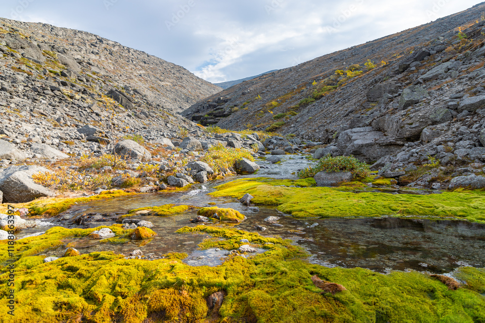View to Mannepakhp river valley at Khibiny mountains. Stones and small trees. Early autumn in arctic tundra region. Kola peninsula, Murmansk region, Russia.