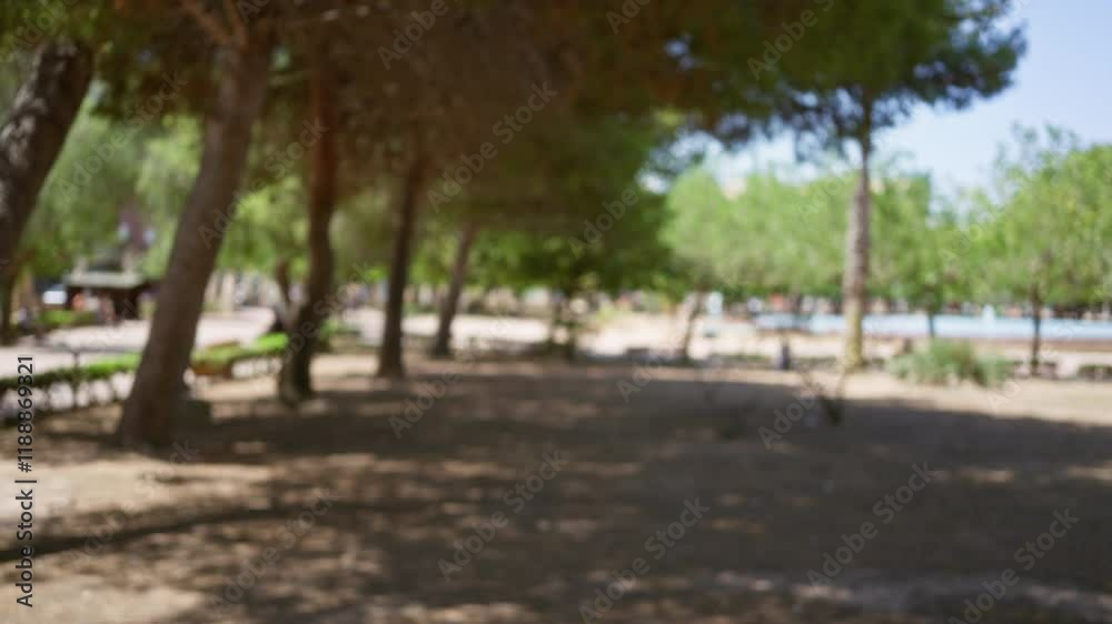 Blurred outdoor image with trees, foliage, and natural sunlight in a park setting with a sandy ground and pathways visible in the distance. Blurred outdoor image with trees, foliage, and natural sunlight in a park setting with a sandy ground and pathways visible in the distance.