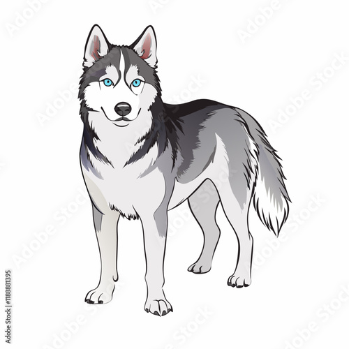 Siberian husky dog standing confidently with striking blue eyes on a white background, copy space
