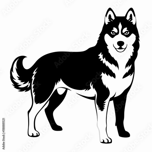 Bold line art illustration of a majestic Siberian Husky with striking features