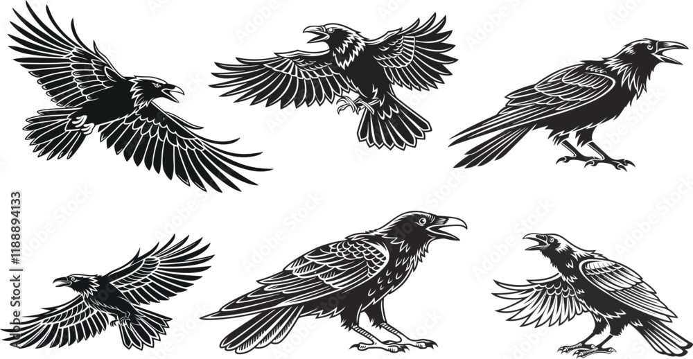 Obraz premium collection of eagle