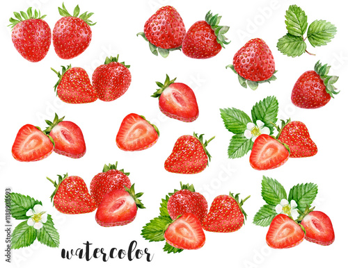 Hand-Painted Watercolor Strawberry Set Botanical Illustration Isolated on White