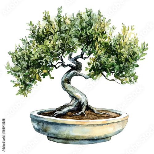 A watercolor vector painting of a tamarix bonsai, isolated on a white background. Tamarix bonsai vector.

