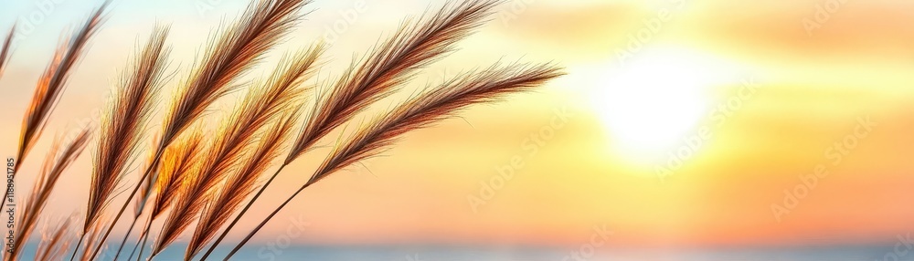 Serene Sunset Over Ocean With Silhouetted Grass Against Soft Pastel Sky and Setting Sun