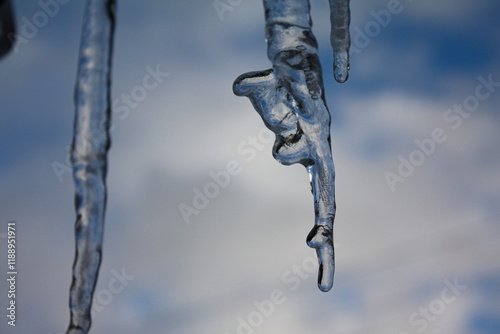 Transparent icicle close-up. The background is blue and white blurred