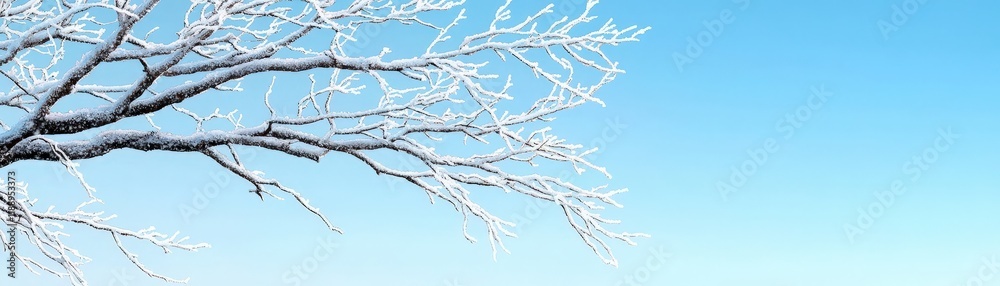 Frosty Branches Against a Clear Winter Sky with Soft Blue Tones and Minimal Background Elements Frosty Branches Against a Clear Winter Sky with Soft Blue Tones and Minimal Background Elements
