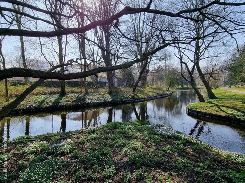 Beautiful spring landscape, with lake and trees in the park. photo