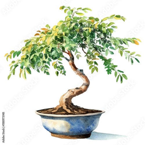 A watercolor vector painting of a tamarind bonsai, isolated on a white background. Tamarind bonsai vector.

