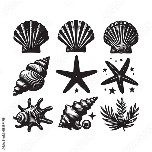 Seashells icon. Different-shaped sea shells and starfish icons. Set of sea animals vector silhouette illustration.