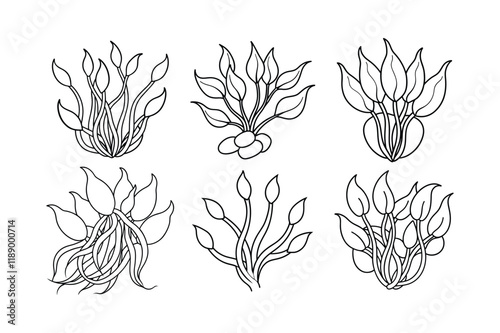 Bamboo Shoots (Bambusa vulgaris), vegetable, illustration, vector, food, outline, healthy eating, cut out, horizontal, icon set, freshness, salad, food and drink, line art, symbol, agriculture, line i