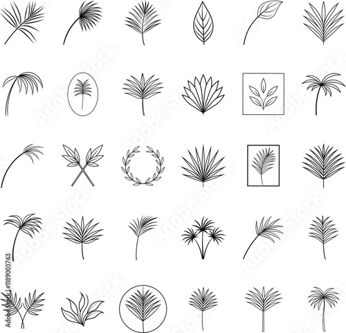 Tropical Palm Leaf Line Art Graphics Design Elements Set