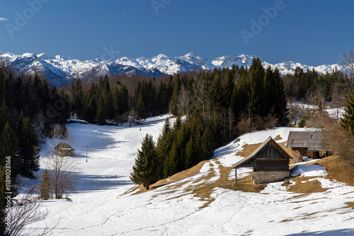 Typical wooden log cabins in Gorjuse, Triglavski national park, Slovenia photo