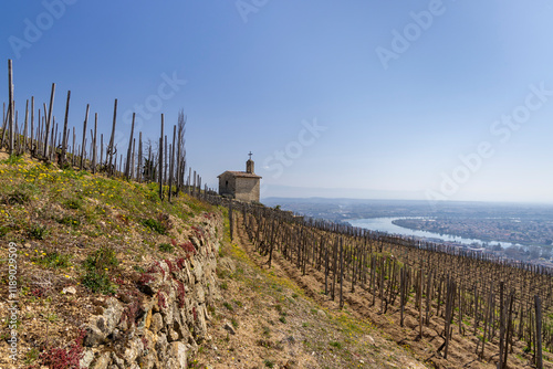 Grand cru vineyard and Chapel of Saint Christopher, Tain l'Hermitage, Rhone-Alpes, France photo
