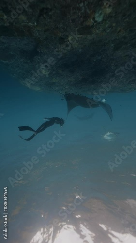 Wallpaper Mural Girl freediver snorkel with Majestic black manta ray on Gili island corals, accompanied by remora fish that clings to its underside. Discover beauty of underwater life in this stunning marine habitat Torontodigital.ca