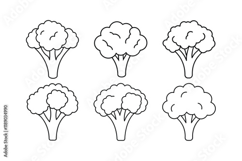 Broccoli Rabe (Brassica rapa subsp. rapa) design, labeled line art vector illustration