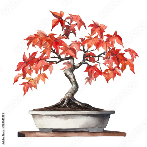 A watercolor vector painting of a Sweetgum bonsai, isolated on a white background. Sweetgum bonsai vector.

