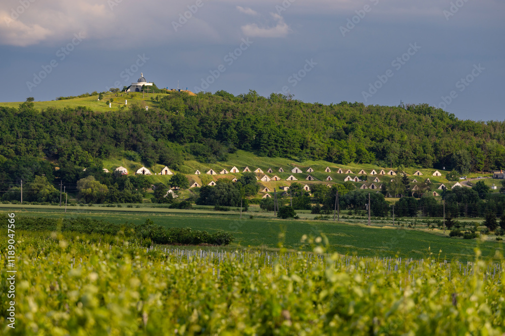 Fototapeta premium Traditional wine cellars (Gombos-hegyi pincesor) in Hercegkut, UNESCO site, Great Plain, North Hungary