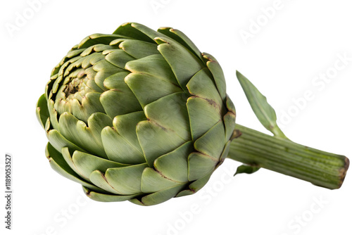 Una Alcachofa aislada