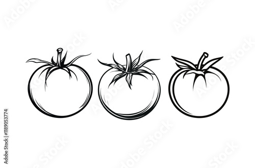 Tomato Vector Silhouette Design