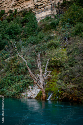 A green mountain river. Water landscape. The water flows down the mountain. Mountain landscape.