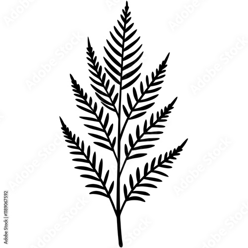 Detailed Vector Line Art Fern Edition