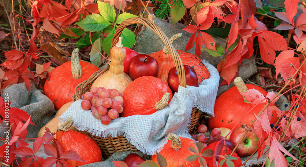 Autumn composition with pumpkins and grapes on a background of red leaves. Concept of Thanksgiving day or Halloween with space for text