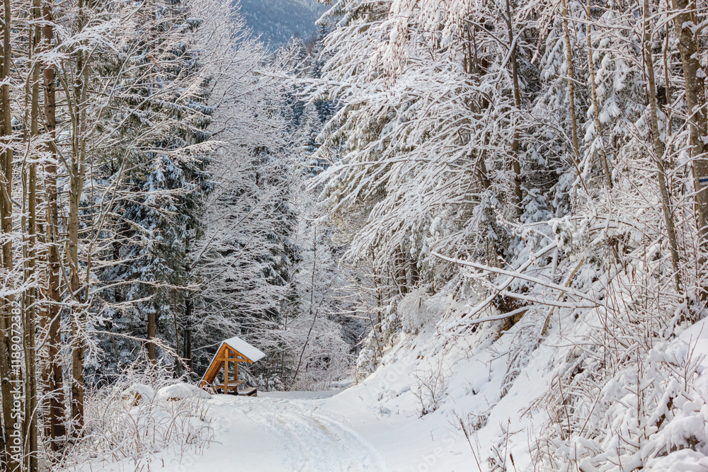Winter landscape - view of the snowy road in the winter mountain forest after snowfall