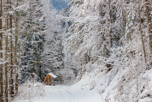 Obraz na płótnie Winter landscape - view of the snowy road in the winter mountain forest after snowfall w salonie