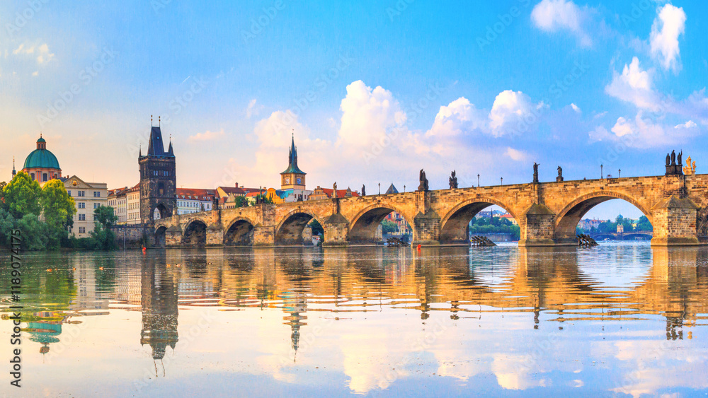 City summer landscape - view of the Charles Bridge and the Vltava river in the historical center of Prague, Czech Republic