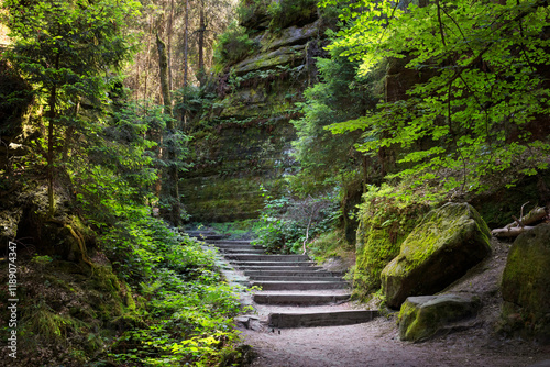 Obraz na płótnie Natural landscape - view of stairs between rocks on a mountain path in Saxon Switzerland, Germany w salonie