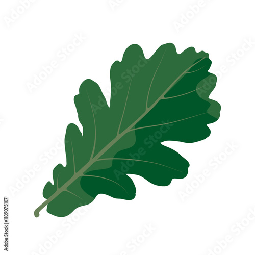 Green oak leaf resting on a plain background showcasing its unique shape and texture